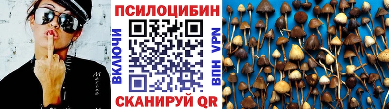 Псилоцибиновые грибы Magic Shrooms hydra зеркало Нариманов купить закладку